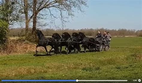 stal de mersken wagen.